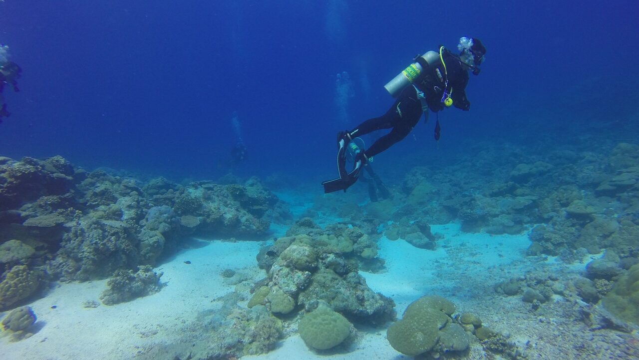Benidorm underwater scuba diving
