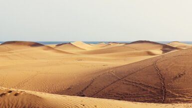Maspalomas dunes, the best things to do in maspalomas